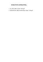 Referāts 'Baltu reliģija un mitoloģija', 8.