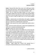 Referāts 'Meža tipoloģija', 28.