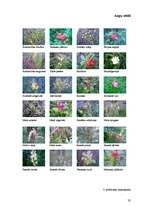 Referāts 'Meža tipoloģija', 32.