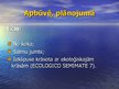 Prezentācija 'Vīzija par ilgtspējīgas attīstības pirmsskolas izglītības iestādi', 12.