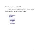 Biznesa plāns 'Vērtspapīru tirgus', 26.