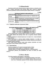 Referāts 'Hipotekārie kredīti un to piedāvājums Latvijas tirgū', 17.