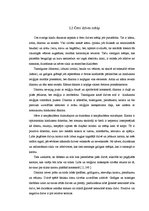 Referāts 'Hinduisms', 9.