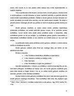 Diplomdarbs 'Sociālais darbs ar likumpārkāpējiem ieslodzījuma vietā', 45.