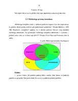 Diplomdarbs 'Uzņēmuma AS “XXX” mārketinga procesa izvērtējums  un pilnveides iespējas', 18.