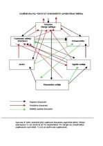 Konspekts 'Paraugs lietvedībā', 4.