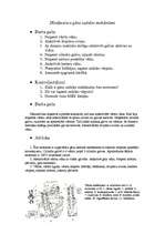 Konspekts 'Dīzeļmotora gāzu sadales mehānisms', 1.