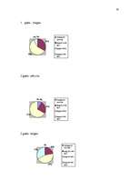 Referāts 'Angļu valodas stundas menedžments 8.klasē', 26.