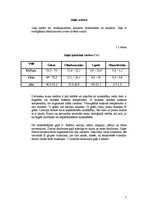 Referāts 'Vārīto desu ražošanas līnija', 2.