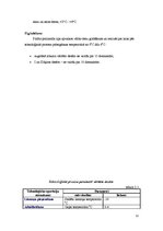 Referāts 'Vārīto desu ražošanas līnija', 12.