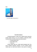 Referāts 'Vārīto desu ražošanas līnija', 18.