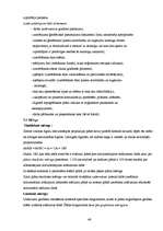 Diplomdarbs 'Komunikāciju uzmērīšana', 46.