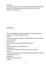 Diplomdarbs 'Komunikāciju uzmērīšana', 55.