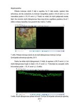 Paraugs 'LiDAR datu izmantošana teritorijas izpētei', 5.