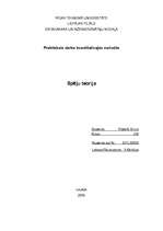 Konspekts 'Spēļu teorija', 1.