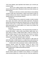 Referāts 'Mazo uzņēmumu revīzijas īpatnības', 3.