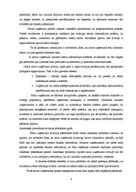 Referāts 'Mazo uzņēmumu revīzijas īpatnības', 4.