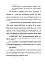 Referāts 'Mazo uzņēmumu revīzijas īpatnības', 5.