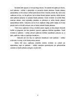 Referāts 'Mazo uzņēmumu revīzijas īpatnības', 6.