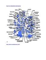Referāts 'Pilsētas socioloģiskā izpēte par Detroitu', 3.