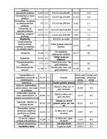 Referāts 'Pilsētas socioloģiskā izpēte par Detroitu', 10.