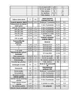 Referāts 'Pilsētas socioloģiskā izpēte par Detroitu', 12.