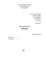 Referāts 'Pilsētas socioloģiskā izpēte par Detroitu', 14.