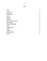 Referāts 'Pilsētas socioloģiskā izpēte par Detroitu', 15.