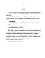 Referāts 'Pilsētas socioloģiskā izpēte par Detroitu', 16.