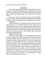 Referāts 'Pilsētas socioloģiskā izpēte par Detroitu', 19.