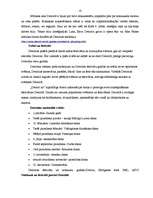 Referāts 'Pilsētas socioloģiskā izpēte par Detroitu', 23.