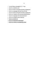 Referāts 'Pilsētas socioloģiskā izpēte par Detroitu', 36.