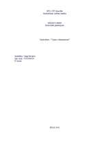 Referāts 'Ciparu videokameras', 1.