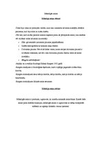 Referāts 'Mākslīgās asinis', 2.