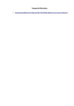 Eseja 'Manas atziņas pēc J.A.Komenska grāmatas "Lielā didaktika" izlasīšanas', 4.