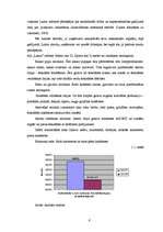 Referāts 'Uzņēmuma a/s "Laima" mikrovide', 6.