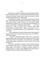 Referāts 'Pašvaldības, pašvaldību funkcijas', 3.