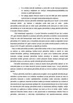 Referāts 'Pašvaldības, pašvaldību funkcijas', 11.