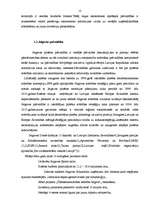 Referāts 'Pašvaldības, pašvaldību funkcijas', 12.