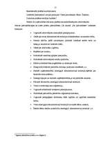 Referāts 'Pašvaldības, pašvaldību funkcijas', 13.