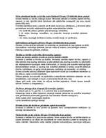 Konspekts 'Starptautiskās cilvēktiesības', 6.