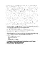 Konspekts 'Starptautiskās cilvēktiesības', 8.