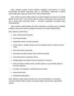 Prakses atskaite 'Prakses atskaite', 6.