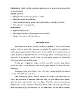 Referāts 'Socializācija bērnībā un pieaugušo socializācija', 3.