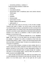 Referāts 'Siltumizolācijas materiālu tirgus izpēte', 6.