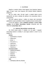 Referāts 'Siltumizolācijas materiālu tirgus izpēte', 12.
