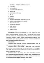 Referāts 'Siltumizolācijas materiālu tirgus izpēte', 13.