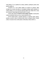 Referāts 'Siltumizolācijas materiālu tirgus izpēte', 24.