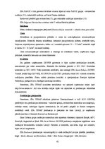 Referāts 'Siltumizolācijas materiālu tirgus izpēte', 42.