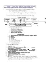 Referāts 'Uzņēmuma ekonomika', 16.